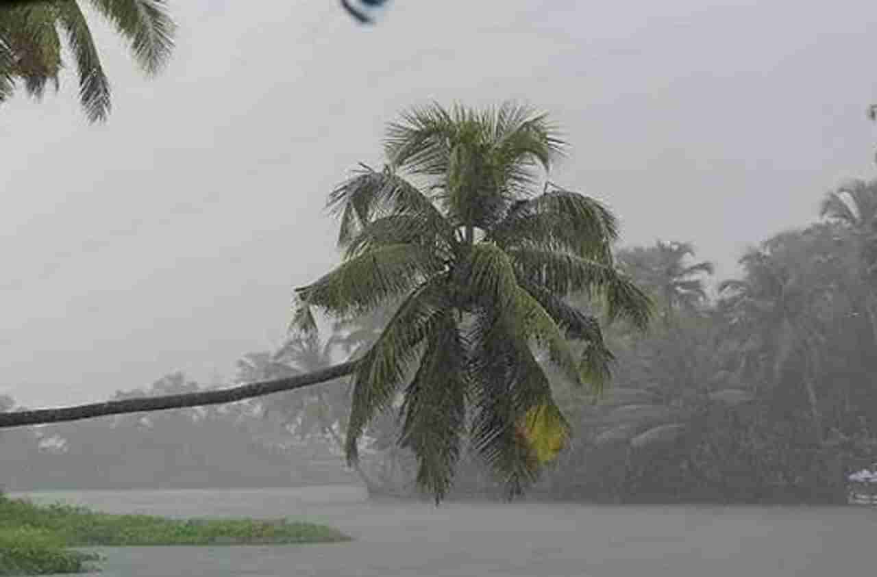 राज्यभरात ठिकठिकाणी पावसाची रिपरिप, बीडमध्ये 12 तासात 435 मिमी पाऊस