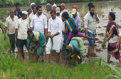 भात लावणीसाठी राज्यमंत्री बाळा भेगडे थेट शेतात