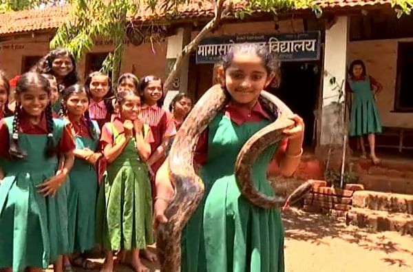 अबब! या शाळेत विद्यार्थ्यांना चक्क साप पकडण्याचं प्रशिक्षण