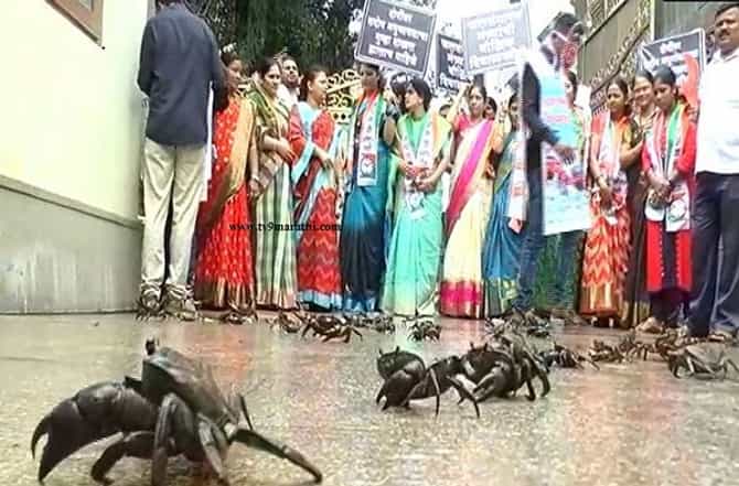 जलसंधारण मंत्री तानाजी सावंत यांच्या पुण्यातील घरात राष्ट्रवादीने खेकडे सोडले!