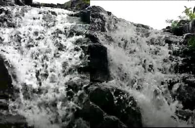 चिमणीला पाणी नव्हतं, तिथे धबधबा कोसळू लागला, पानी फाऊंडेशनने करुन दाखवलं!