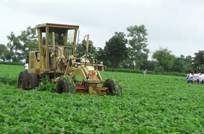 Crop Loan : राज्यातील 12 जिल्ह्यात 50 टक्क्यांपेक्षा कमी पीक कर्ज वाटप : सहकारमंत्री बाळासाहेब पाटील