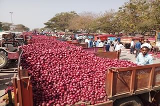 सांगली, कोल्हापुरात एनडीआरएफचं बचावकार्य, वृद्धांची खांद्यावर घेऊन सुटका