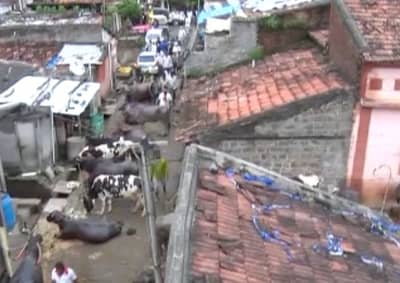 Brahmanal ground report   | ब्रह्मनाळ गावात टीव्ही 9 मराठी, चहूबाजूंनी घेरलेल्या गावात पिण्याचं पाणीच नाही