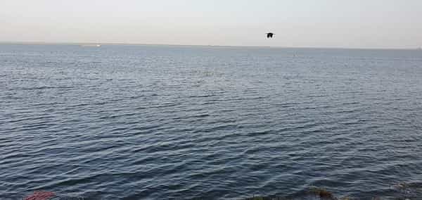 आशिया खंडातील सर्वात मोठं मातीचं धरण अशी ख्याती असलेलं जायकवाडी (Jayakwadi dam) म्हणजेच ‘नाथसागर’ यावर्षी तब्बल 88.33 (सोमवारी सायं. 7 वा. पर्यंत) टक्के भरलंय आणि शंभरीकडे वाटचाल सुरु आहे. (सर्व फोटो : पैठण एक्स्प्रेस फेसबुकवर प्रसिद्ध)