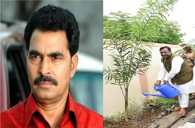 वृक्षलागवड थोतांड आहे असं म्हणणाऱ्यांनी आधी अभ्यास करावा, सुधीर मुनगंटीवारांचे सयाजी शिंदेंना उत्तर