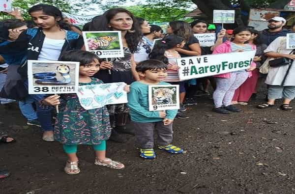 मेट्रोच्या कारशेडसाठी मुंबईच्या आरे जंगलातील तब्बल 2700 झाडे तोडण्याचा निर्णय सरकारने घेतला आहे. मात्र, या निर्णयाचा सर्वच स्तरातून मोठ्या प्रमाणात विरोध होतो आहे (Save Aarey Forest). पर्यावरण प्रेमींनंतर आता बॉलिवूड कलाकारांनीही आरेला वाचवण्यासाठी मोर्चा हाती घेतला.