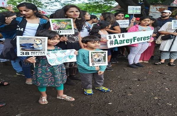 मेट्रोच्या कारशेडसाठी मुंबईच्या आरे जंगलातील तब्बल 2700 झाडे तोडण्याचा निर्णय सरकारने घेतला आहे. मात्र, या निर्णयाचा सर्वच स्तरातून मोठ्या प्रमाणात विरोध होतो आहे (Save Aarey Forest). पर्यावरण प्रेमींनंतर आता बॉलिवूड कलाकारांनीही आरेला वाचवण्यासाठी मोर्चा हाती घेतला.