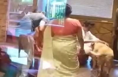 राज ठाकरेंचा डोंबिवली दौरा, पहिली भेट जेम्स आणि बॉण्डच्या पिल्लाची