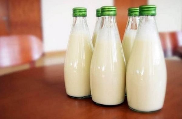 ऑटिझमग्रस्त मुलासाठी सांडणीच्या दुधाची गरज, मातेची मोदींना हाक, राजस्थानवरुन मुंबईत दूध दाखल
