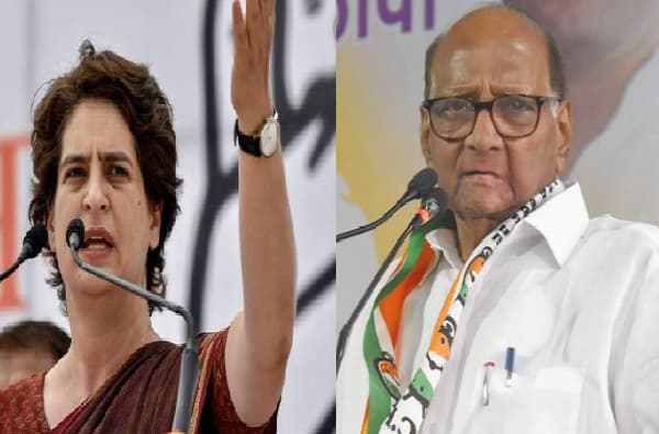 विधानसभेसाठी महाराष्ट्रात शरद पवार-प्रियांका गांधींच्या एकत्र प्रचारसभा