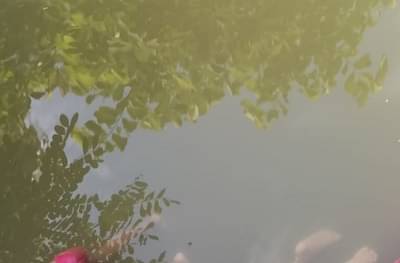 बुलडाण्यात एकाच कुटुंबातील 5 मृतदेह विहिरीत आढळल्याने खळबळ