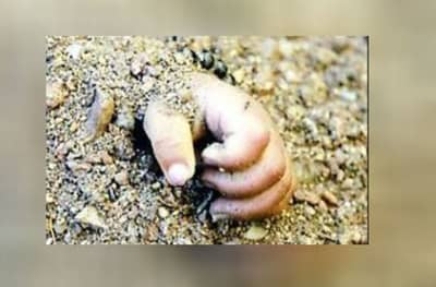 बलात्कारानंतर अल्पवयीन मुलीची प्रसुती, नवजात बालकाला पित्याने जिवंत पुरले