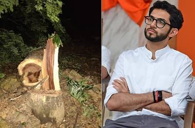 आरेतील वृक्षतोड करणाऱ्यांना Pok मध्ये पाठवा : आदित्य ठाकरे