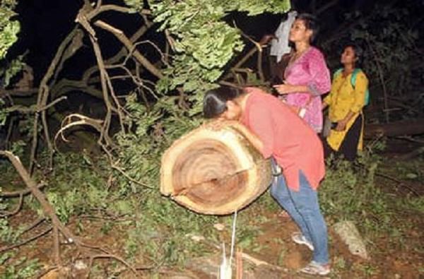 Aarey tree cutting : 'आरे'तील वृक्षतोड अद्याप सुरु, दोन दिवसात 1800 झाडांची कत्तल