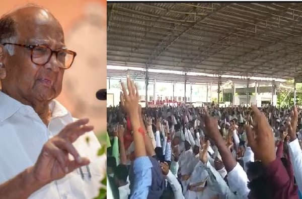 मराठा क्रांती मोर्चा आणि सकल मराठा समाजाचा राष्ट्रवादीला पाठिंबा