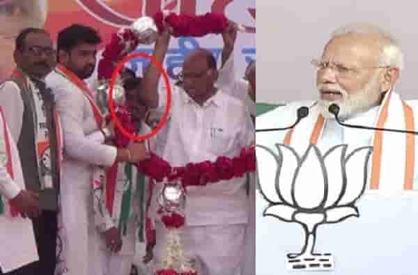 कार्यकर्त्याला कोपर, नरेंद्र मोदींची शरद पवारांना कोपरखळी