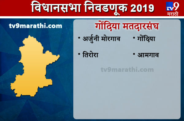 Gondia district Assembly results | गोंदिया जिल्हा विधानसभा निकाल