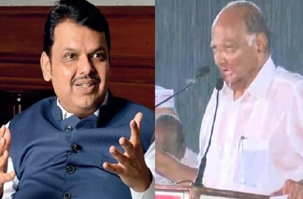पावसात भिजावं लागतं, हा अनुभव कमी पडला, फडणवीसांचे पवारांना चिमटे