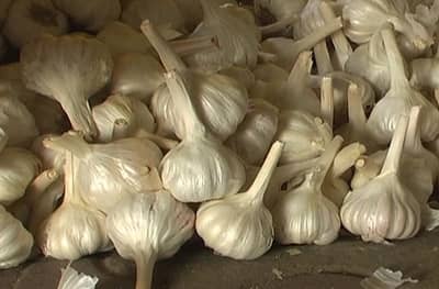 बाजारात बंदी असतानाही चिनी लसणाची सर्रास विक्री, असा ओळखा चिनी लसूण?