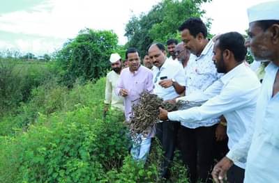 मंत्रिपदाची चर्चा, मात्र संकटाचं चक्रव्यूह भेदण्यासाठी अभिमन्यू शेतकऱ्याच्या बांधावर