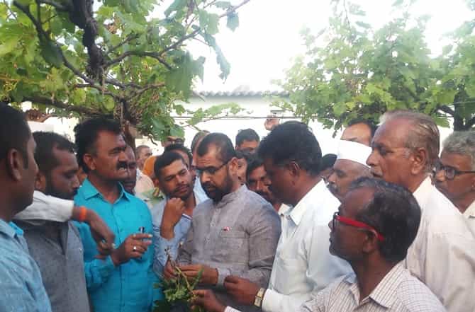 कांदा खाल्ला नाही म्हणून कोणी मरत नाही : सदाभाऊ खोत