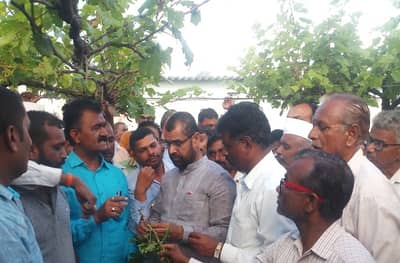 कांदा खाल्ला नाही म्हणून कोणी मरत नाही : सदाभाऊ खोत