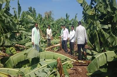 राज्यातील ओल्या दुष्काळाच्या पाहणीसाठी केंद्रीय पथकाचा तीन दिवसीय दौरा