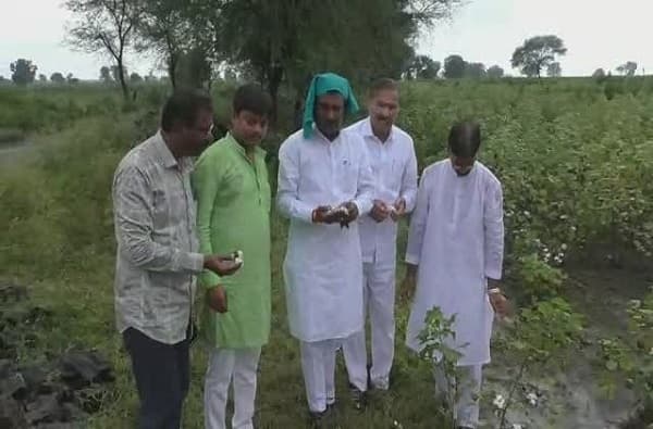 पिकांच्या नुकसानीचा पाहणी दौरा, भरपावसात खासदार चिखलीकर शेतकऱ्यांच्या बांधावर