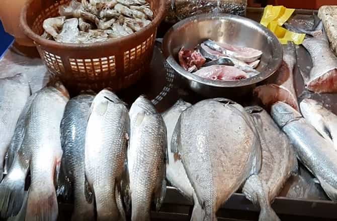 सुरमई 800, तर कोळंबी 500 रुपये किलो, चक्रीवादळामुळे मासे महागले