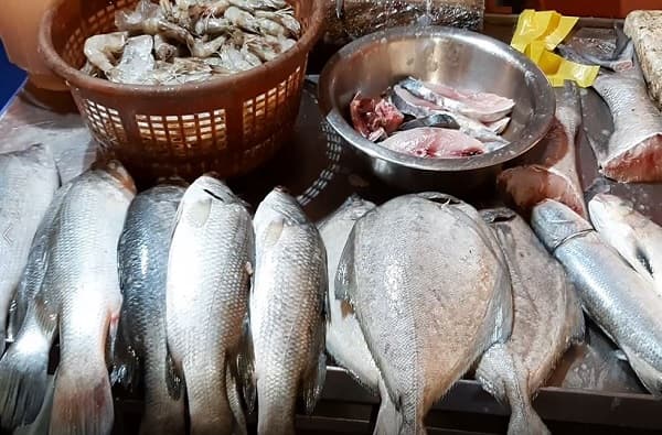 कोकणातील मासेमारी व्यवसायाला कोरोनाचा विळखा, निर्यात 40 टक्क्यांनी घटली