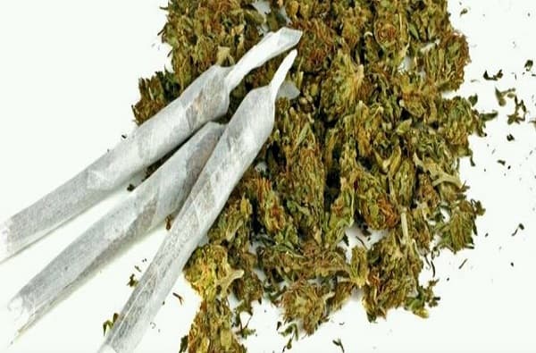 मुंबई पोलिसांची धडक कारवाई, 19 महिन्यात 1081 कोटींचे अंमली पदार्थ जप्त, 1073 आरोपींना अटक