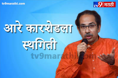 आरे कारशेडला स्थगिती, एक पानही तोडणार नाही,  मुख्यमंत्री उद्धव ठाकरे यांचा मोठा निर्णय