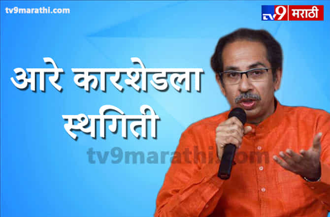 आरे कारशेडला स्थगिती, एक पानही तोडणार नाही, मुख्यमंत्री उद्धव ठाकरे यांचा मोठा निर्णय