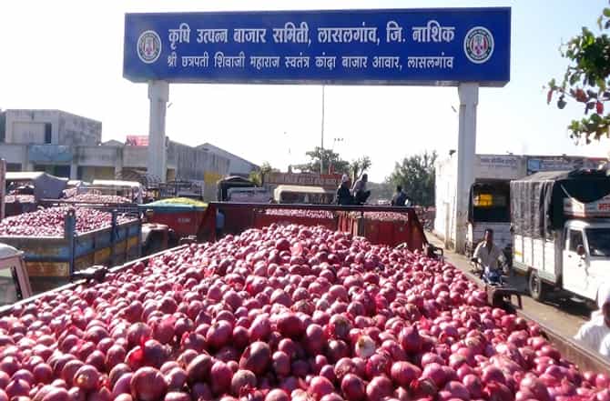 दर महिन्याच्या अमावस्येला लासलगाव बाजार समिती असते बंद, कारण....!