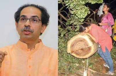 मेट्रो कारशेड दुसरीकडे हलवण्याची तयारी पूर्ण, आरेमधील जागेवर वन्यजीव संशोधन केंद्र?