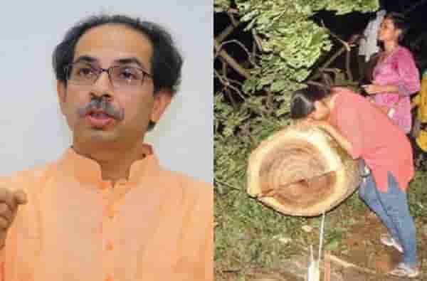 आरेमधील झाडांची कत्तल केल्याप्रकरणी चौकशी होणार, मुख्यमंत्री उद्धव ठाकरेंचे आदेश