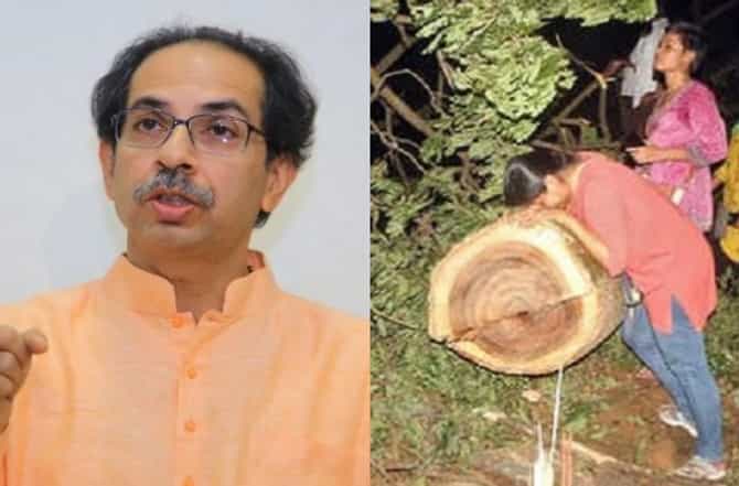 मेट्रो कारशेड दुसरीकडे हलवण्याची तयारी पूर्ण, आरेमधील जागेवर वन्यजीव संशोधन केंद्र?