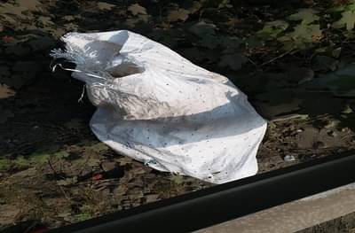 पनवेलमध्ये लहान मुलाचा मृतदेह आढळल्याने खळबळ, नागरिकांमध्ये चिंतेचं वातावरण