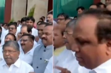 शेलार ओरडले 'सोनियाचा पोपट काय म्हणतो', भाजप आमदार म्हणाले...