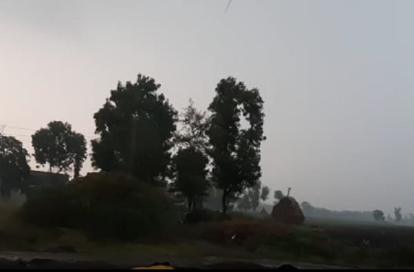राज्यात हिवाळ्यात पावसाच्या सरी, अवकाळी पावसाने रब्बी पिकांचे नुकसान होण्याची शक्यता