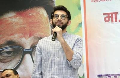 भाजपचं दुःख समजू शकतो, पण बरनॉल द्या म्हणणार नाही : आदित्य ठाकरे