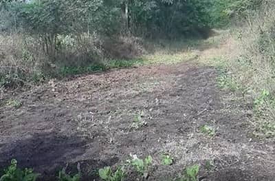 भोरमध्ये शेतातली माती चोरीला, हायकोर्टाकडून सीआयडी चौकशीचे आदेश