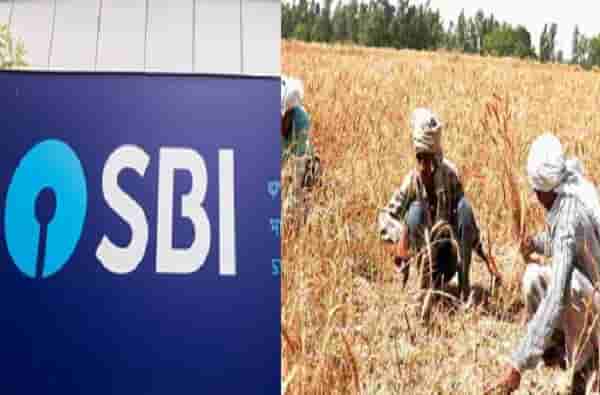कर्जमाफीसाठी 45 ते 51 हजार कोटींची गरज, 50 लाखांपेक्षा अधिक शेतकऱ्यांना लाभ, एसबीआयचा अंदाज