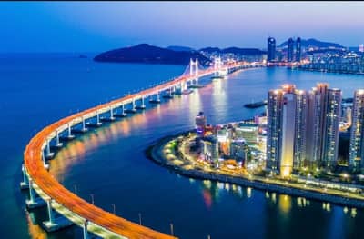 शिवडी ते न्हावा पारबंदर प्रकल्प, देशातील सर्वात लांब सागरी पुलाचं मुख्यमंत्री उद्धाटन करणार