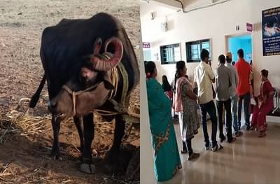 कुत्रा चावल्याने म्हशीचा मृत्यू, दूध प्यायलेले 200 जण रुग्णालयात