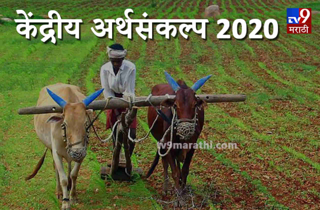 Budget 2020: शेतकऱ्यांसाठी अर्थसंकल्पात काय? 16 कलमी कार्यक्रमाची घोषणा