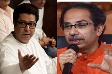 मी पक्षाचा झेंडा बदलला नाही, उद्धव ठाकरेंचा राज ठाकरेंना अप्रत्यक्ष टोला