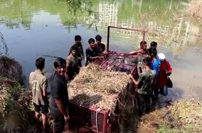 मुलुंडमध्ये सहा फुटाची मगर, एनजीओकडून मगरीला पकडण्यात यश