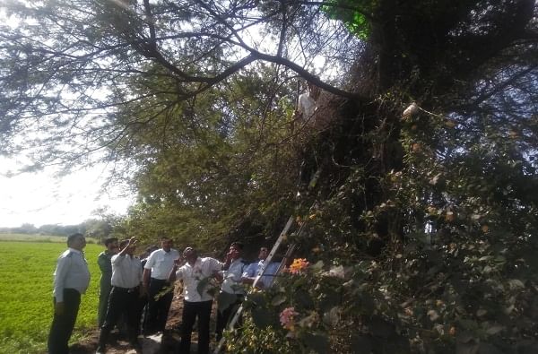 PHOTO : नाशिकमध्ये पॅराशूटसह जवान बाभळीच्या झाडावर अडकला, झाड तोडून खाली उतरवलं